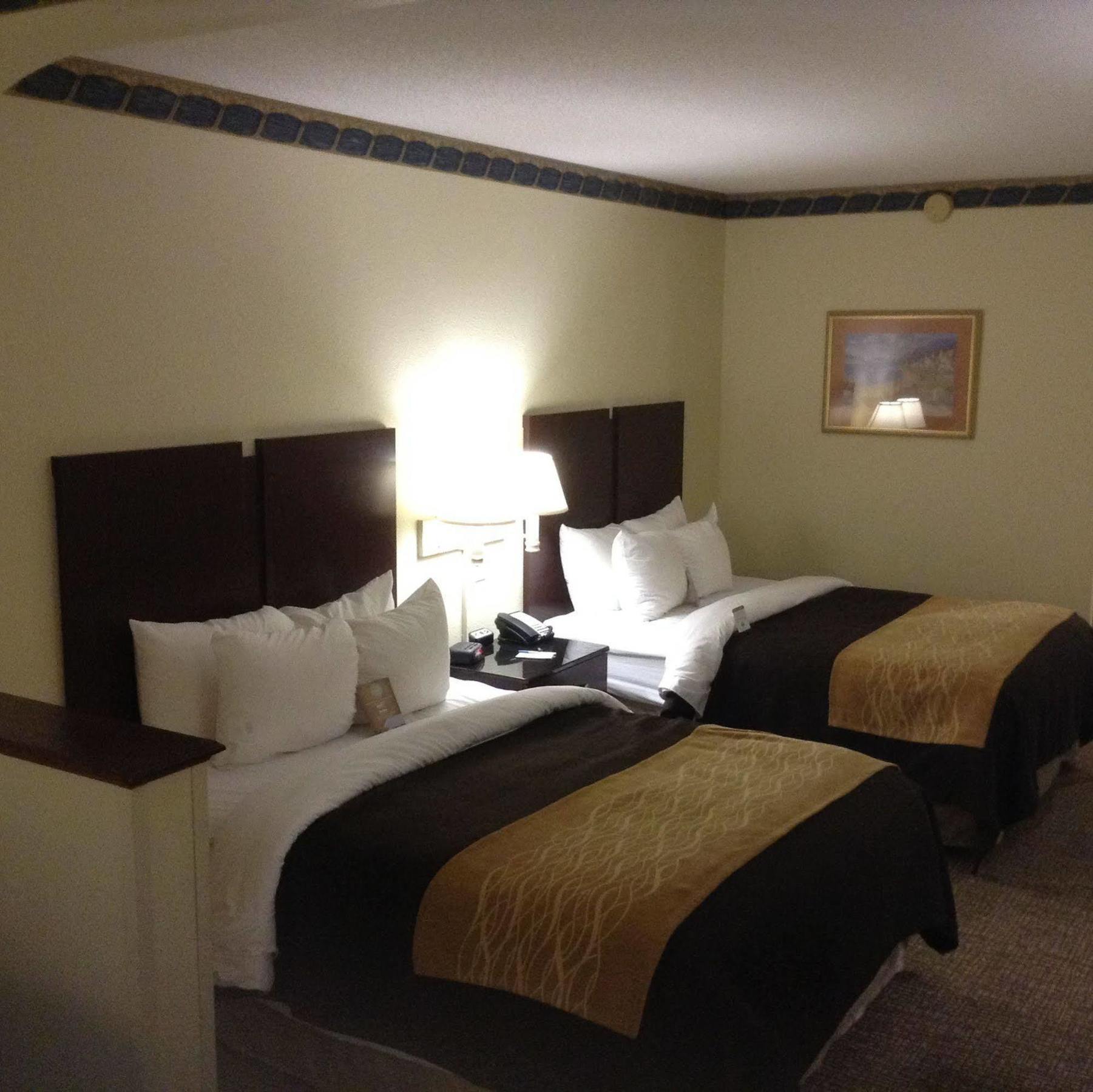 Comfort Inn & Suites Ftjackson Maingate Columbia Buitenkant foto