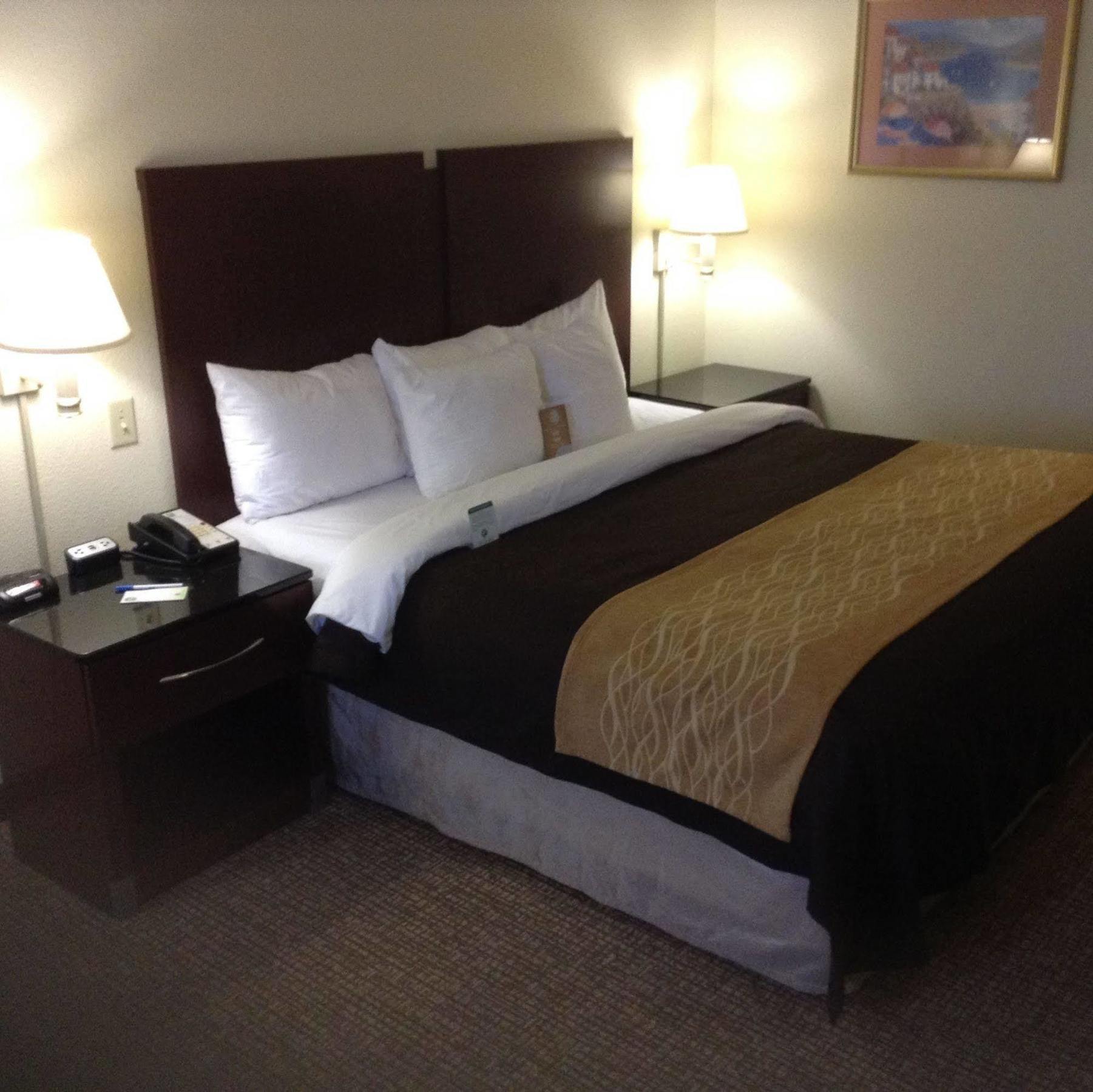 Comfort Inn & Suites Ftjackson Maingate Columbia Buitenkant foto